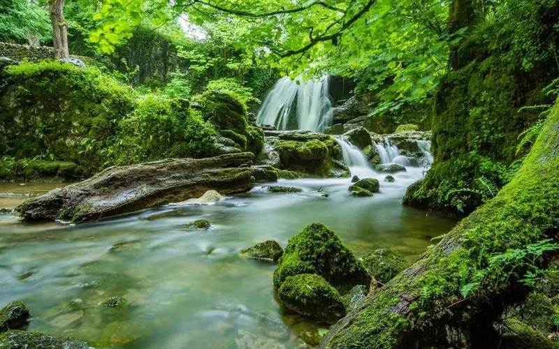 高性能全自动科技